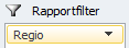 PivotTable Report Filter - Excel 2010