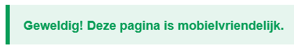 Google website check 03