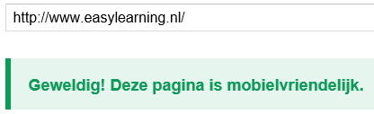 Google website check