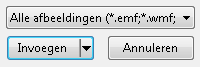 Insert logo in Word 07