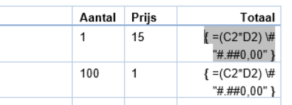 Rekenen in Word 11