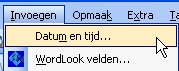 insert_date_in_word_01